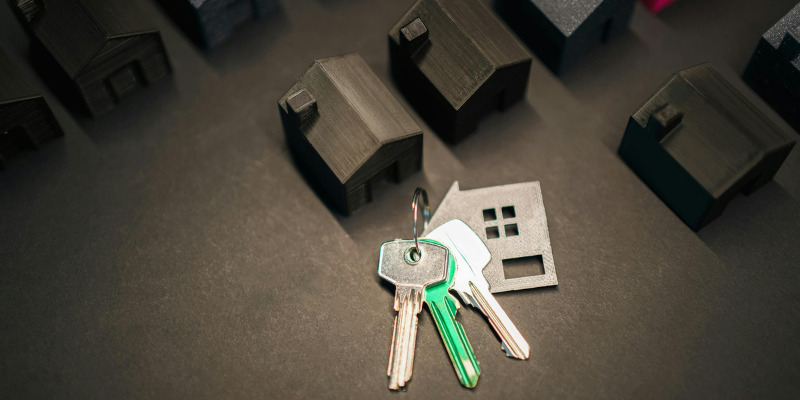 What is Squatter Rights Huntsville